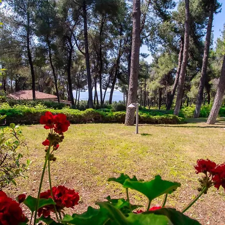 Sani Lili 2 Sani (Chalkidiki)